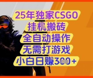 2025年CSGO全自动搬砖项目详解 无需打游戏新手也能轻松上手-雨叶虚拟资源网