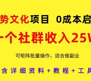 强势文化社群赚钱项目实操教程 零成本启动可批量矩阵操作-雨叶虚拟资源网