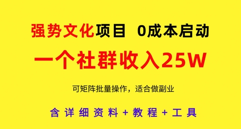 强势文化社群赚钱项目实操教程 零成本启动可批量矩阵操作