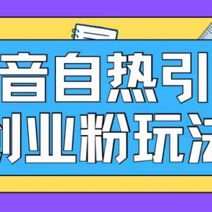抖音创业粉自热引流实操教程 蓝海项目可日引200+精准粉-雨叶虚拟资源网