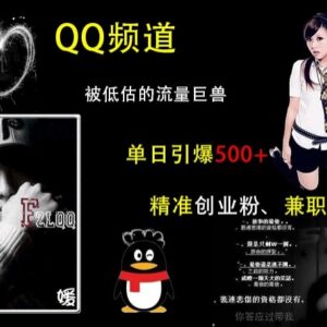 2024QQ频道引流实操攻略 单日获500+精准创业粉兼职粉方法-雨叶虚拟资源网