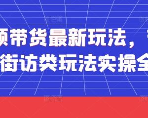 短视频带货街访类玩法实操全流程 新手可落地操作指南-雨叶虚拟资源网