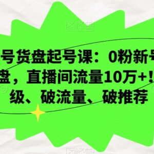 视频号货盘起号实操教程 0粉新号3天爆盘破层级拿10万+直播间流量-雨叶虚拟资源网