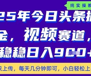 2025年今日头条视频赛道最新玩法 低门槛易操作新手可快速变现-雨叶虚拟资源网