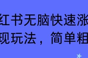 小红书商单快速涨粉变现玩法 低门槛操作技巧分享-雨叶虚拟资源网