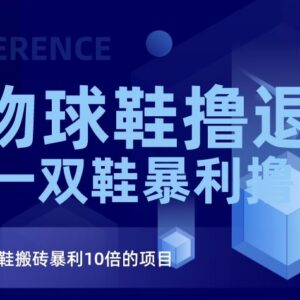 2023得物球鞋撸退款项目揭秘 比搬砖收益更高的实操玩法介绍-雨叶虚拟资源网
