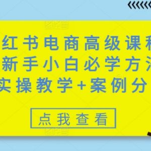 2025小红书电商新手实操课程 开店选品运营全流程教学-雨叶虚拟资源网