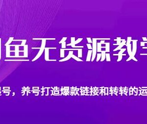 闲鱼无货源起号养号爆单教程 转转平台运营实操技巧汇总-雨叶虚拟资源网