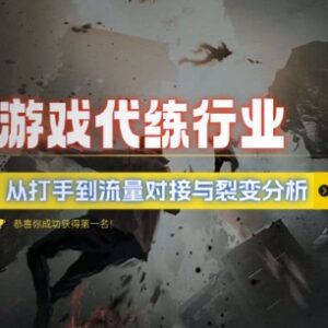 2024游戏代练行业盈利拆解 从打手到流量对接裂变全路径分析-雨叶虚拟资源网