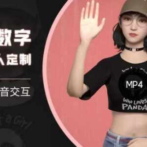 AI数字人实时语音交互特训营 超写实虚拟人定制全流程教学-雨叶虚拟资源网