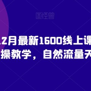 猴帝2023年12月最新1600元线上课 0粉起号自然流量实操教学-雨叶虚拟资源网