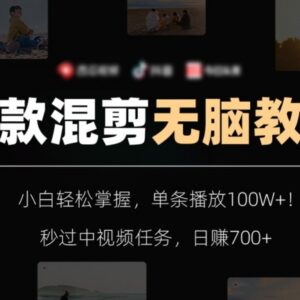 零基础影视混剪实操教程 小白做中视频获高播放轻松赚收益-雨叶虚拟资源网