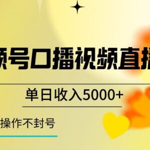 视频号口播直播实操玩法 可批量操作不封号的稳定变现教程-雨叶虚拟资源网