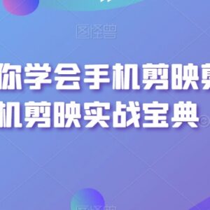 手机剪映剪辑实操全指南 从基础功能到特效制作手把手教学-雨叶虚拟资源网