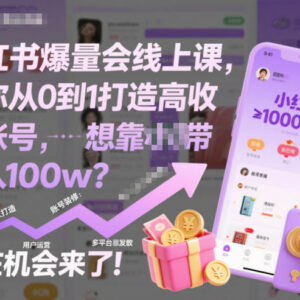 小红书爆量会线上课 从0到1打造高收益带货账号全指南-雨叶虚拟资源网