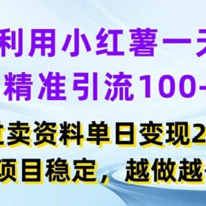 2024小红书精准引流卖项目实操 单日引流百人变现2000+可长期运营-雨叶虚拟资源网