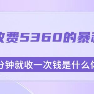 收费5360的0成本轻售后蓝海副业玩法 附配套素材及实操教程-雨叶虚拟资源网