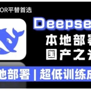 2025年DeepSeek R1大模型低训练成本本地安装部署教程资源-雨叶虚拟资源网