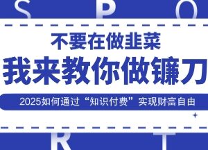 2025知识付费赚钱实操全教程 解析互联网盈利底层逻辑与方法-雨叶虚拟资源网
