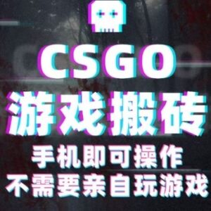 CSGO游戏皮肤捡漏副业教程 手机可操作的低门槛赚钱项目-雨叶虚拟资源网