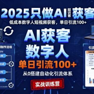 2025AI超级获客实训营 16天掌握低成本数字人引流获客技巧-雨叶虚拟资源网