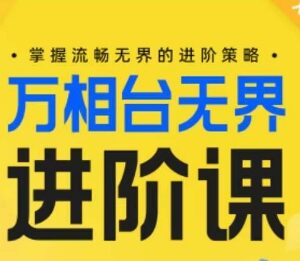 万相台无界进阶运营课程 从操作到组合投放全玩法教学-雨叶虚拟资源网