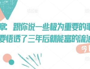 高净值人群成功核心支点拆解 普通人落地执行3年财富进阶指南-雨叶虚拟资源网