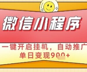 微信小程序自动挂机推广项目详解 单日变现900+操作全指南-雨叶虚拟资源网