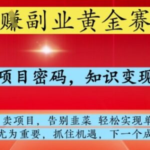 网创副业黄金赛道玩法揭秘 掌握卖项目培训SOP可单日变现千元-雨叶虚拟资源网