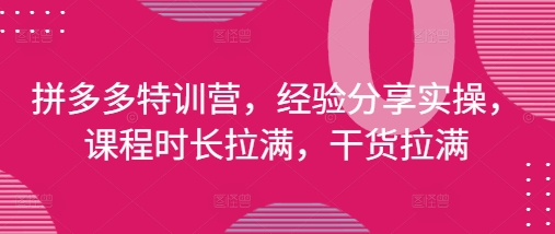 2025年4月更新拼多多运营特训营 全流程实操干货经验分享