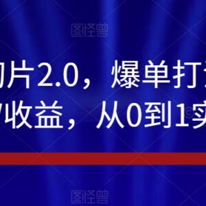 抖音IP切片2.0爆单打法 千粉账号从0到1高收益实战教学-雨叶虚拟资源网