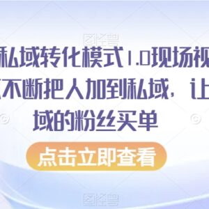 抖音引流私域转化全流程教程 从获客到复购落地运营指南-雨叶虚拟资源网