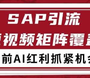小红书抖音SAP赛道引流获客教程 自动矩阵可日引精准客源200+-雨叶虚拟资源网