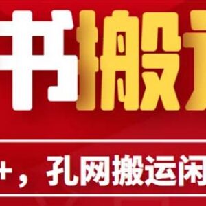 孔夫子旧书网搬运至闲鱼副业指南 单号日入100+附教程及配套工具-雨叶虚拟资源网