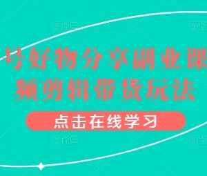 视频号好物分享怎么赚钱 剪辑带货副业实操完整教程-雨叶虚拟资源网