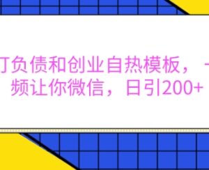 抖音负债创业自热模板使用教程 可实现日引微信精准粉200+-雨叶虚拟资源网