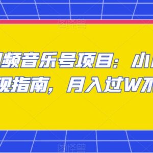 抖音中视频音乐号副业玩法 零基础小白变现实操全指南-雨叶虚拟资源网