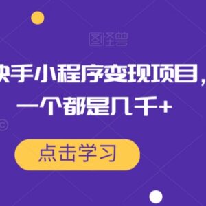 抖音快手小程序变现实操教程 单条爆单收益可达数千元-雨叶虚拟资源网