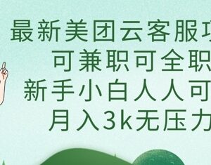 2025美团云客服实操指南 零基础新手可做兼职全职月入3k教程-雨叶虚拟资源网