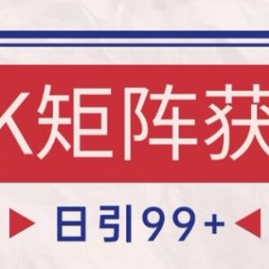 小红书抖音NK赛道引流获客攻略 自热矩阵日引200+实操揭秘-雨叶虚拟资源网