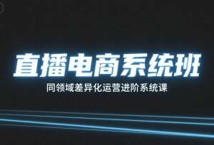 直播电商差异化运营进阶系统课 全链路掌握带货实操技能-雨叶虚拟资源网