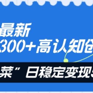 知乎日引300+高认知创业粉技巧 变现实操全流程玩法解析-雨叶虚拟资源网