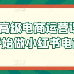 小红书电商运营入门系统课 从零掌握开店选品到起店全流程-雨叶虚拟资源网