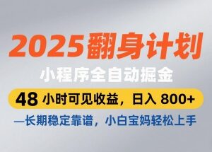 2025微信小程序全自动掘金项目 小白宝妈可做长期稳定副业详解-雨叶虚拟资源网