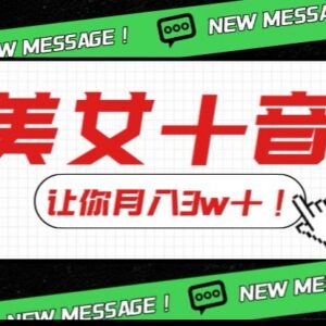 美女搭配音乐低风险引流变现玩法 新手零门槛易操作可月入3万-雨叶虚拟资源网