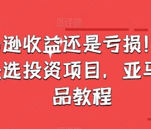 亚马逊选品教程:站点调研避坑旺季选品玩法全指南-雨叶虚拟资源网