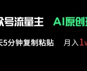 公众号流量主多赛道原创玩法 低耗时可复制的副业增收实操指南-雨叶虚拟资源网