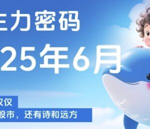 2025年6月更新主力密码课程 洞察主力动向把握股票买卖时机-雨叶虚拟资源网