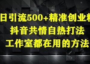 2025抖音精准创业粉引流方法 工作室共情打法日引500+实操-雨叶虚拟资源网