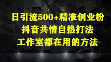 2025抖音精准创业粉引流方法 工作室共情打法日引500+实操